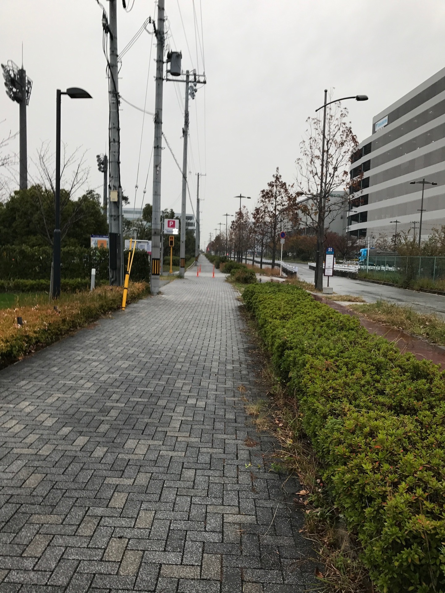 16 12 04 西九条駅からセレッソ大阪舞洲グラウンドまで歩いて行った場合の写真だけ 話題の8割がセレッソ大阪